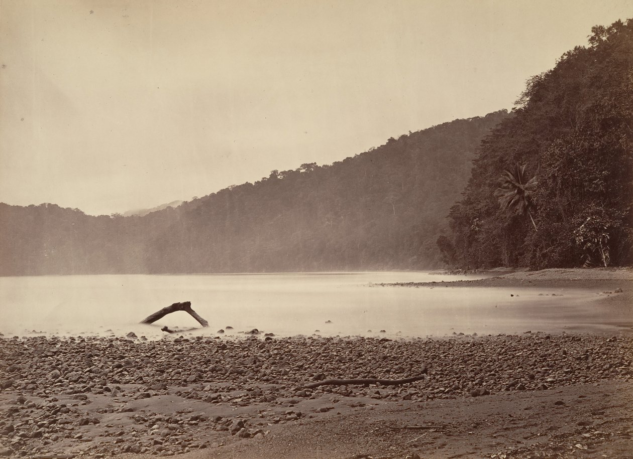 Trooppinen maisema, ehdotetun kanavan päätepiste, Limon Bay, 1871. tekijältä John Moran