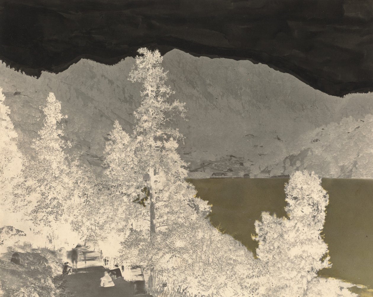 Nynee Tall South Endistä tekijältä John Murray