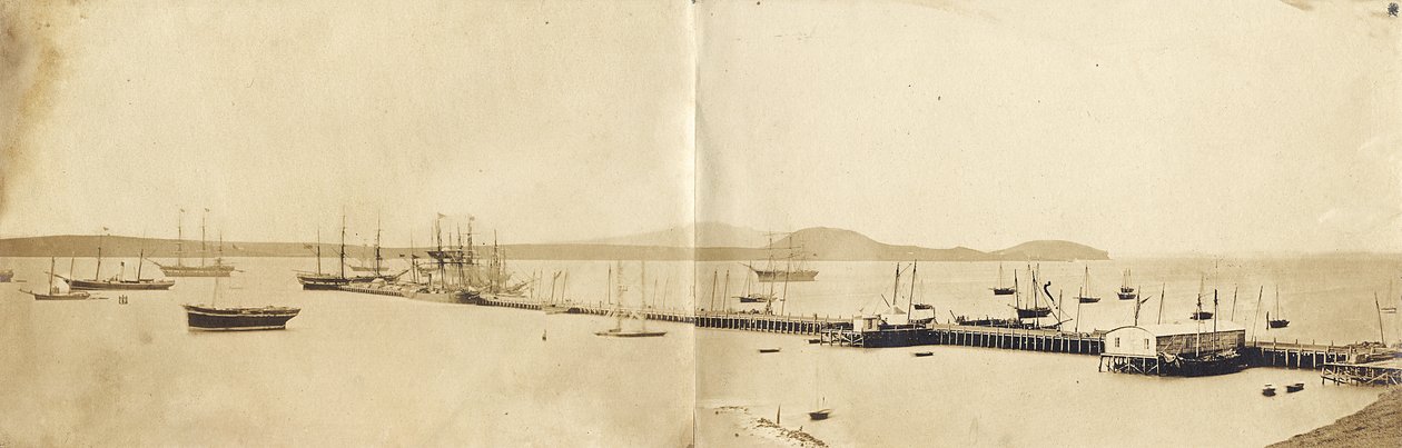 Aucklandin satama, 1865 (albumiprintti) tekijältä John Nicol Crombie