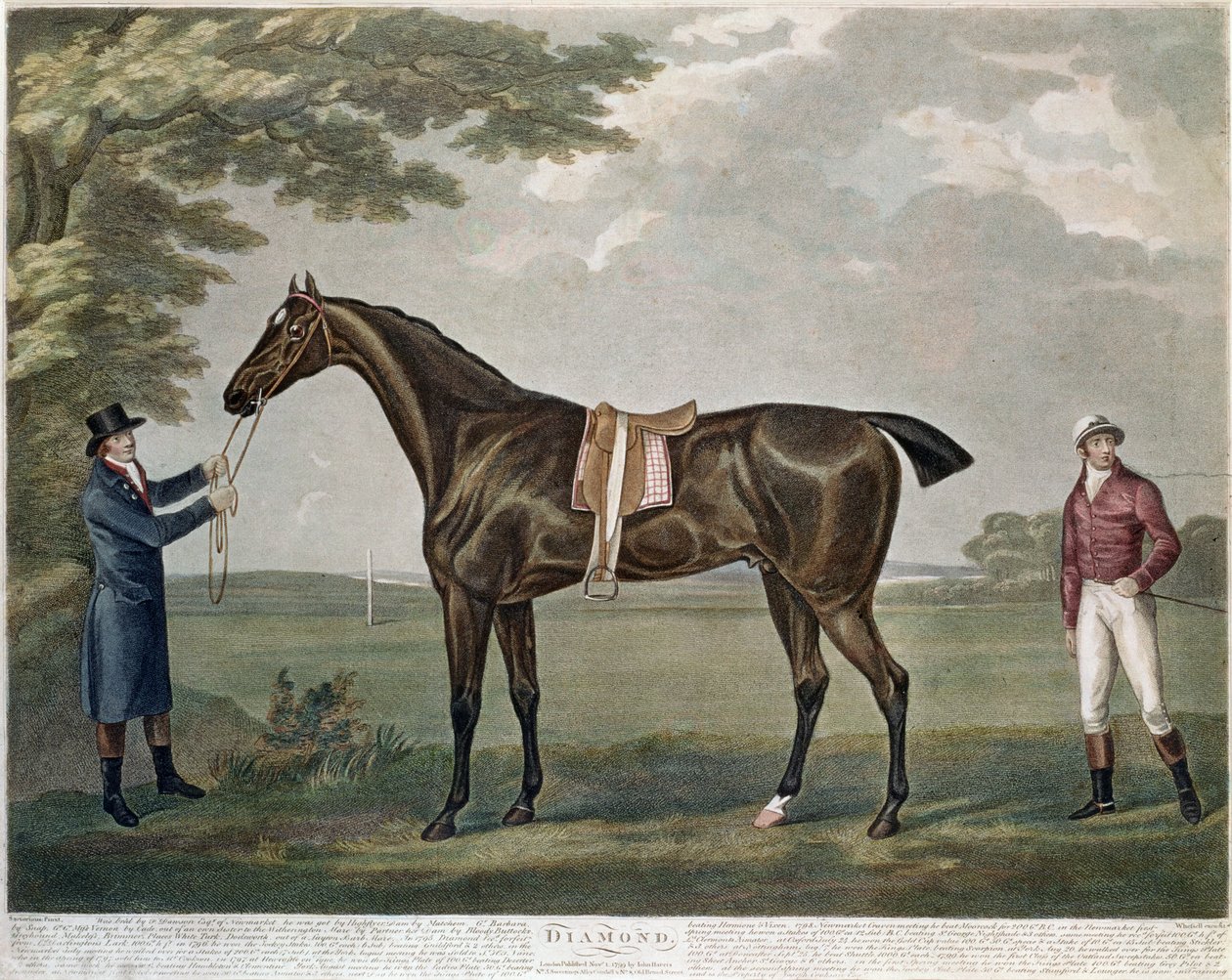 Kilpahevostimantti, n. 1799 tekijältä John Nott Sartorius