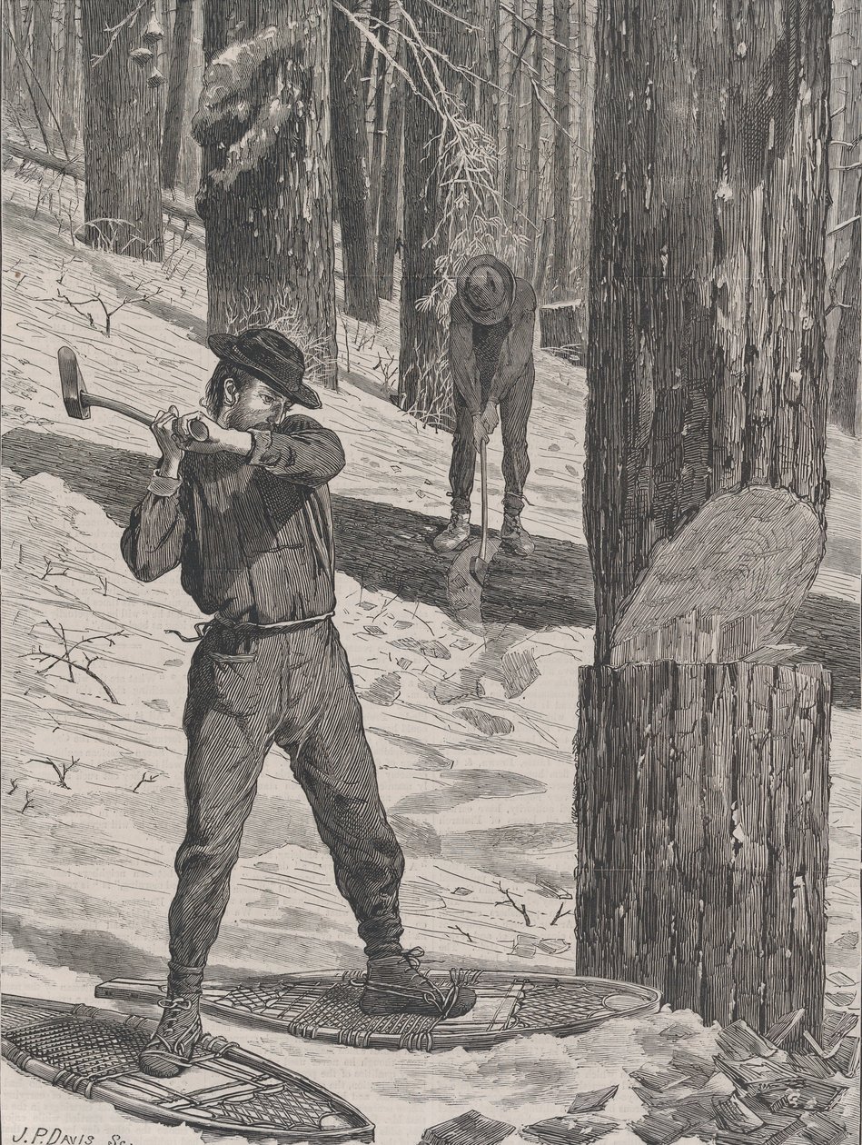 Puutavaraa talvella Joka lauantai, Vol. II, uusi sarja, 28. tammikuuta 1871. tekijältä John Parker Davis