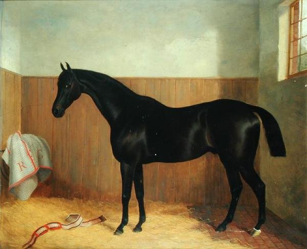Tommy, Hevosen muotokuva, noin 1870-luku (öljy kankaalle) tekijältä John Paul