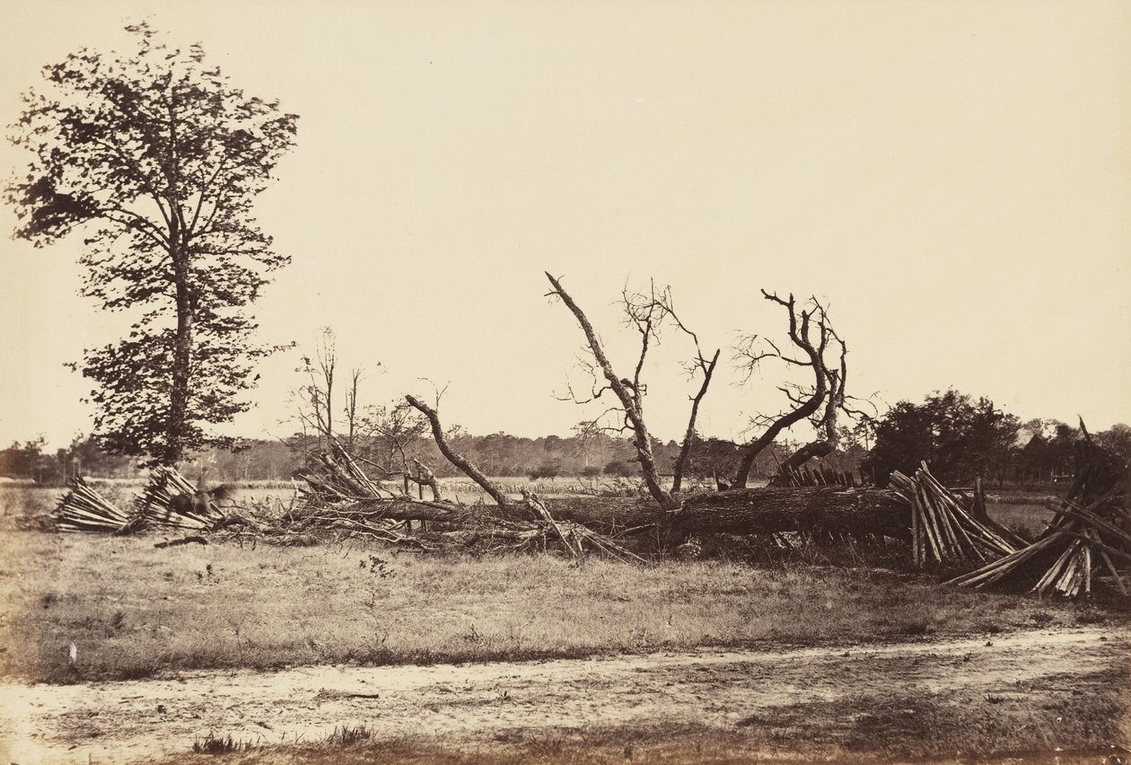 Extreme Line of Confederate Works, Cold Harbor., huhtikuu 1865 (albumiiniprintti kiinnitetty kudospaperille) tekijältä John Reekie