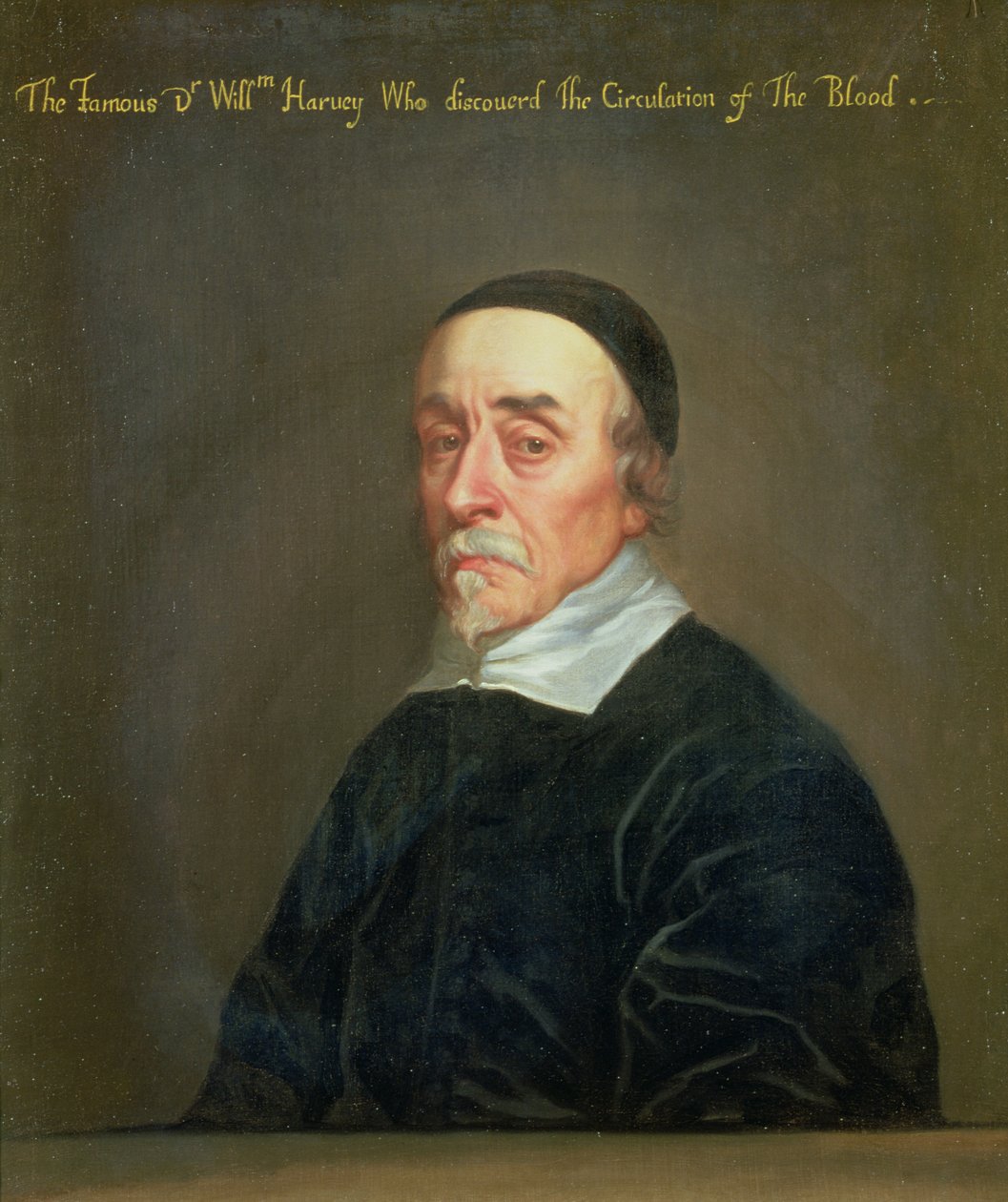 William Harveyn (1578-1657) muotokuva tekijältä John Riley