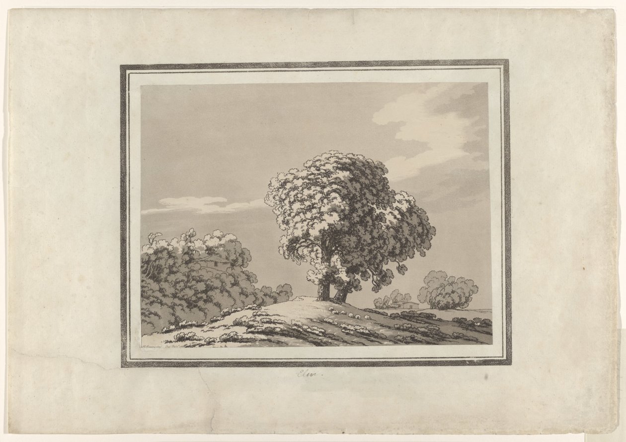 Jalava tekijältä John Robert Cozens