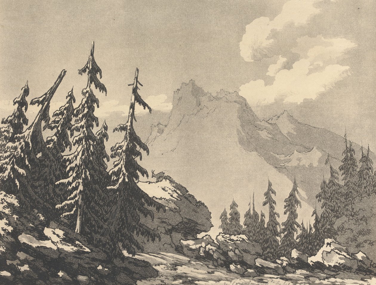 kuusi ja mänty tekijältä John Robert Cozens