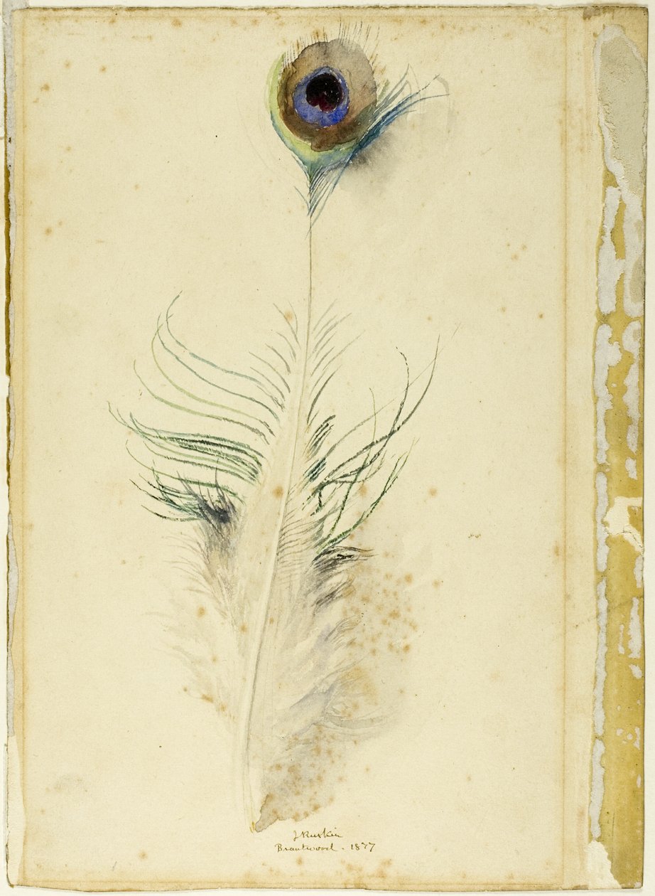 Riikinkukon sulka tekijältä John Ruskin