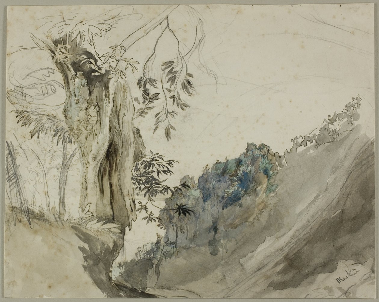 Espanjalainen kastanja tekijältä John Ruskin