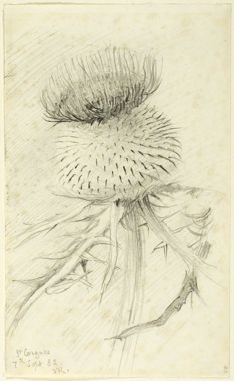 St. Cergues tekijältä John Ruskin