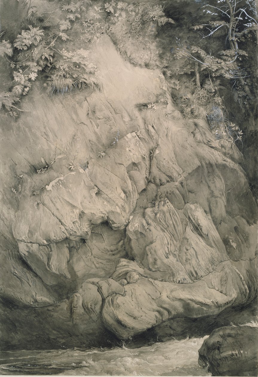Study of Gneiss Rock, Glenfinlas, heinäkuu 1853 - helmikuu 1854 tekijältä John Ruskin