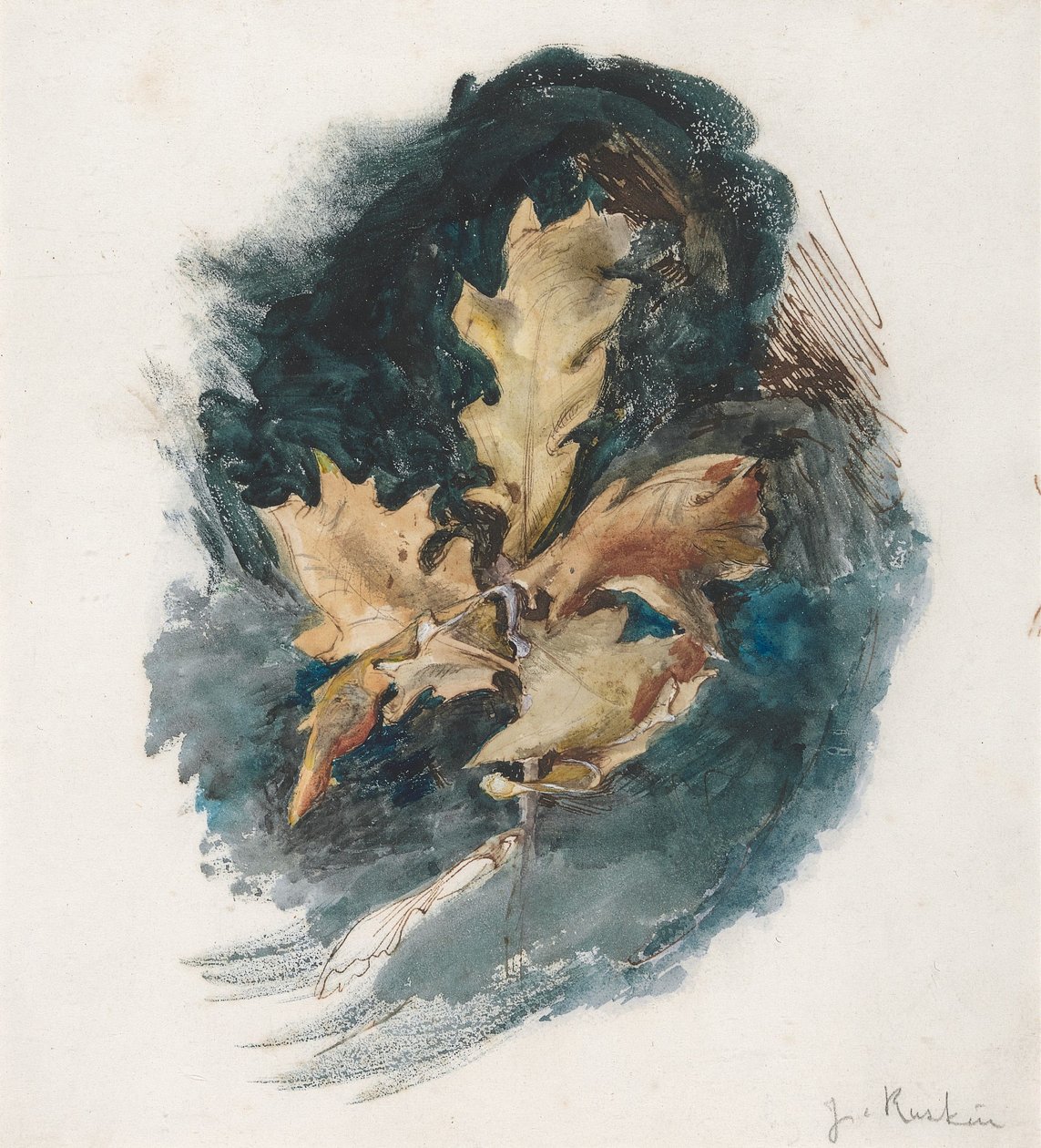 Tutkimus tammenlehdestä tekijältä John Ruskin