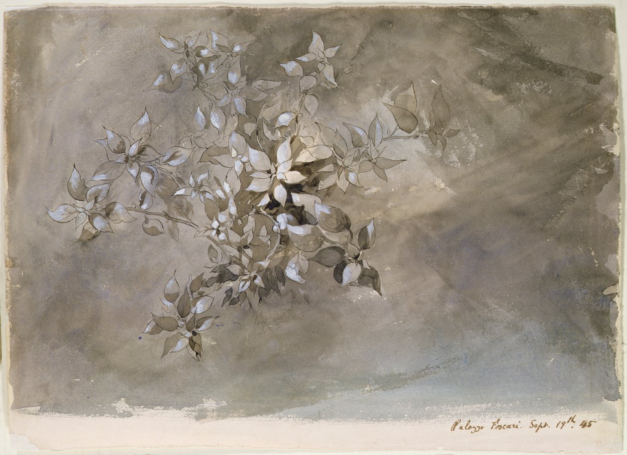 Lehdistöjen tutkimus tekijältä John Ruskin
