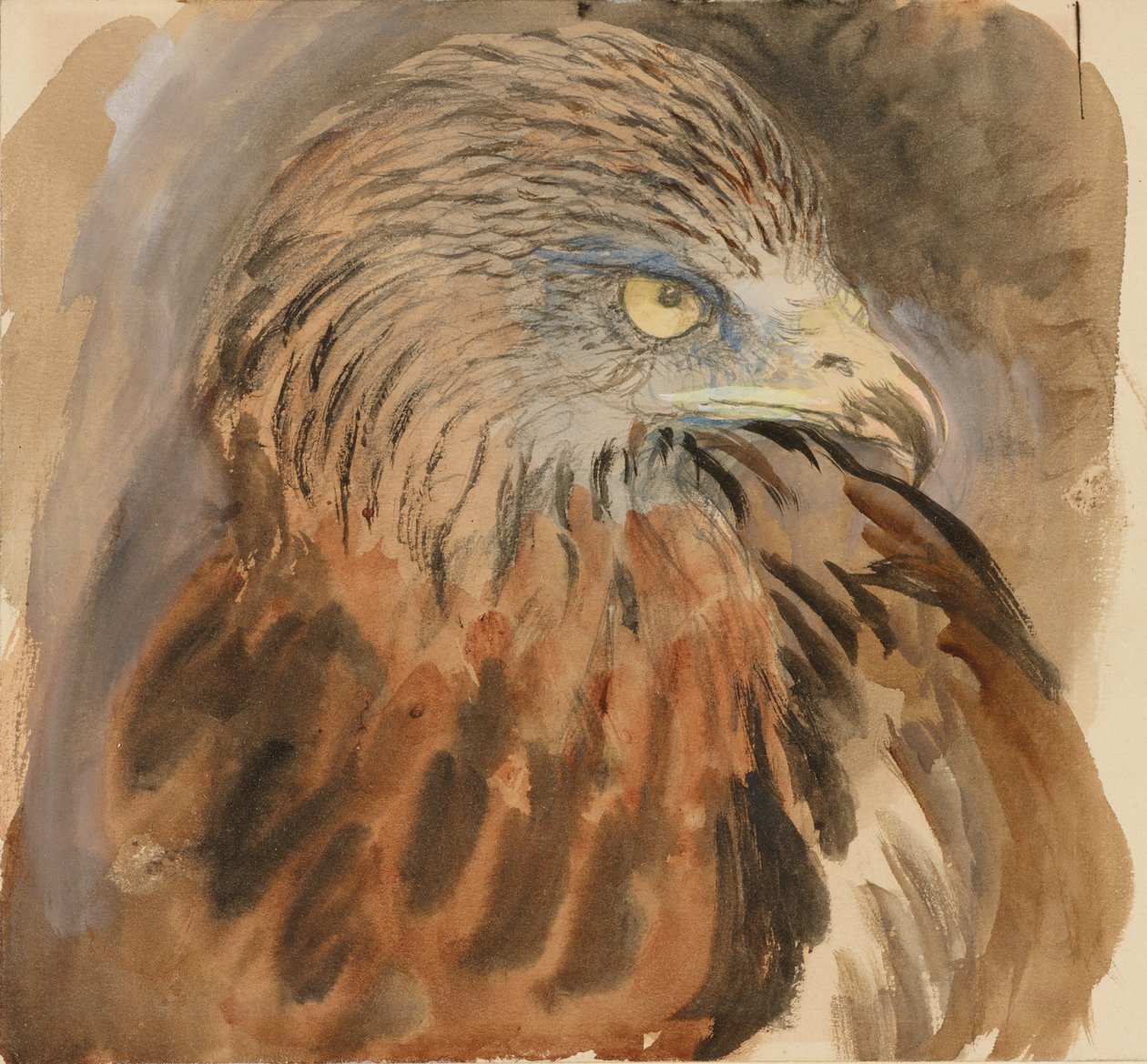 Leijan pää, Lifesta, 30. elokuuta - 1. syyskuuta 1870. tekijältä John Ruskin