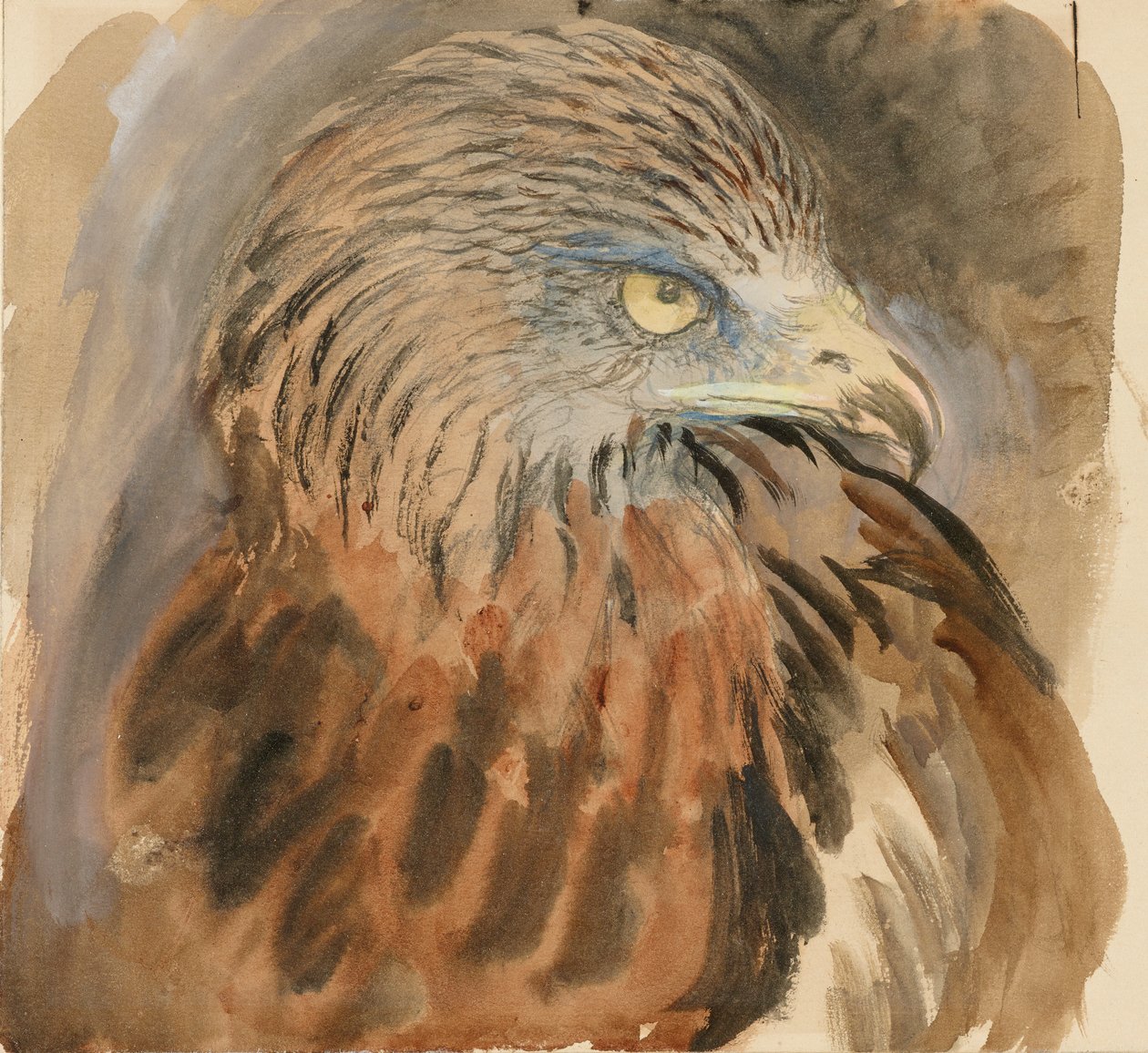 Leijan pää, Lifesta, 30. elokuuta - 1. syyskuuta 1870. tekijältä John Ruskin