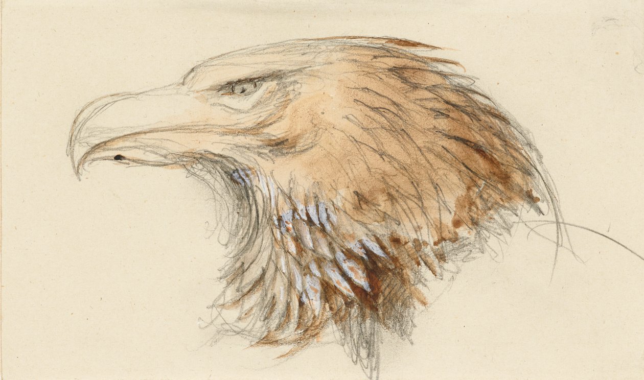 Yhteisen kultakotkan pää, elämästä, 8.-11.9.1870. tekijältä John Ruskin