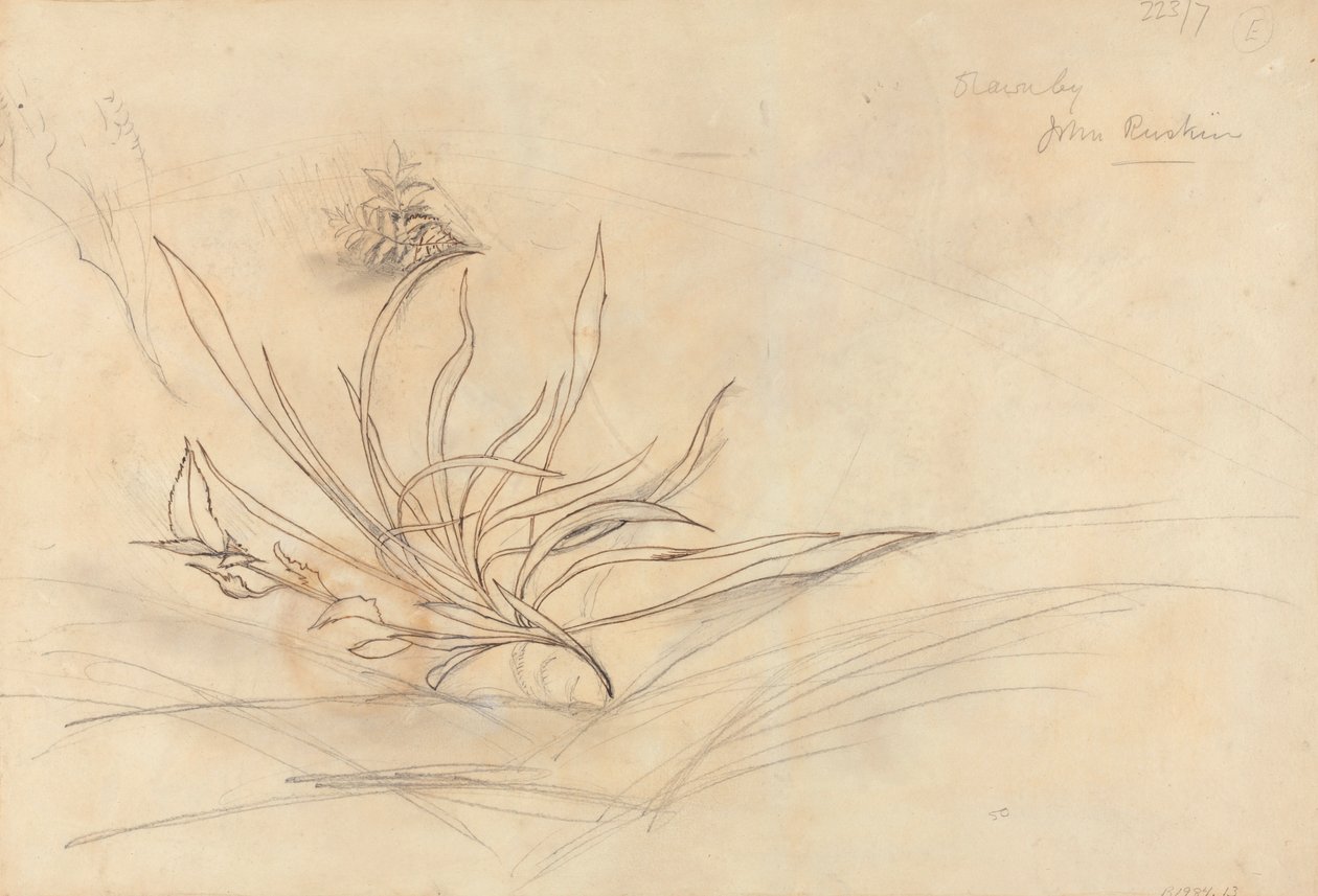 Joen kallioranta tekijältä John Ruskin