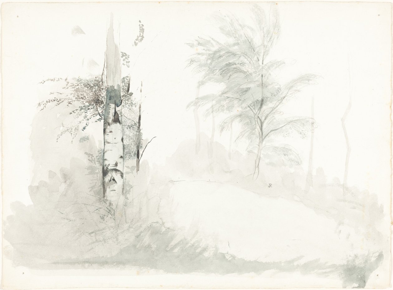 Puututkimus tekijältä John Ruskin