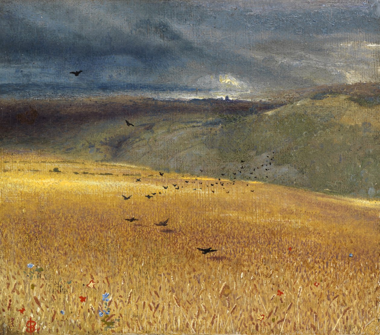 Vehnäpelto tekijältä John Samuel Raven