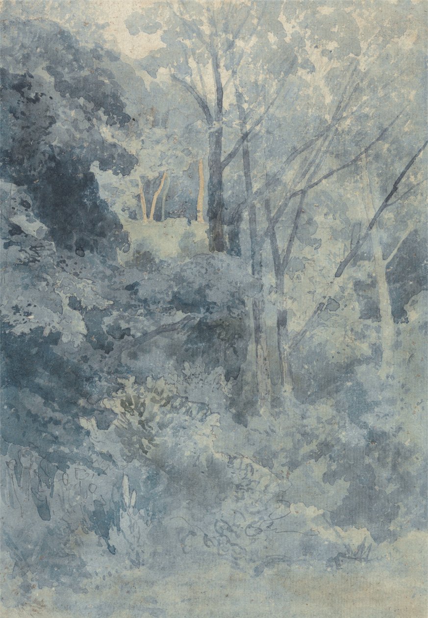 Rokeby Parkissa tekijältä John Sell Cotman