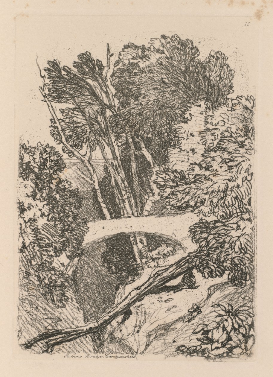 Liber Studiorum: Levy 11: Parsons Bridge, Cardingshire, 1838 tekijältä John Sell Cotman