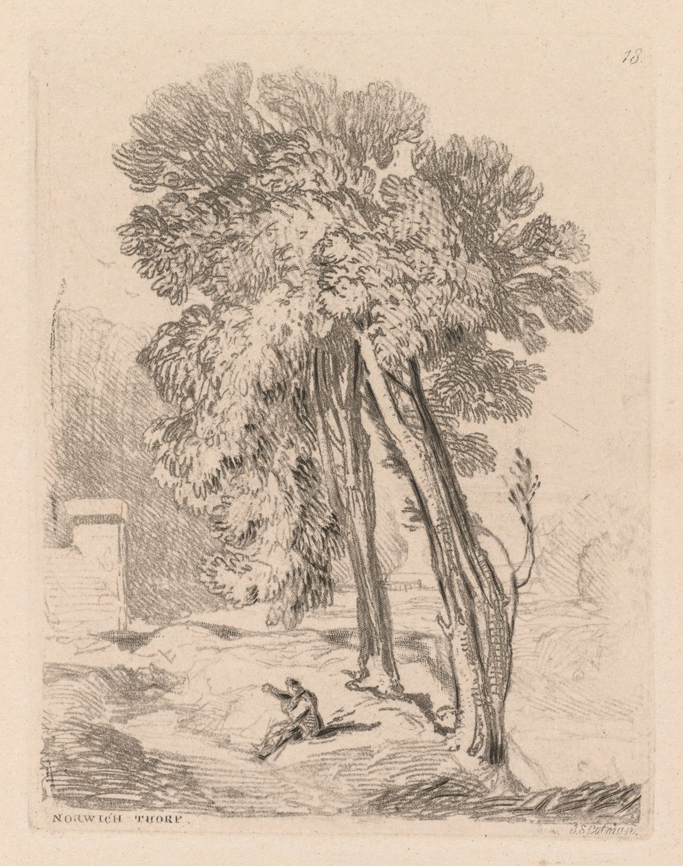 Liber Studiorum: Plate 18, Trees at Norwich Thorp, Norfolk, 1838. tekijältä John Sell Cotman