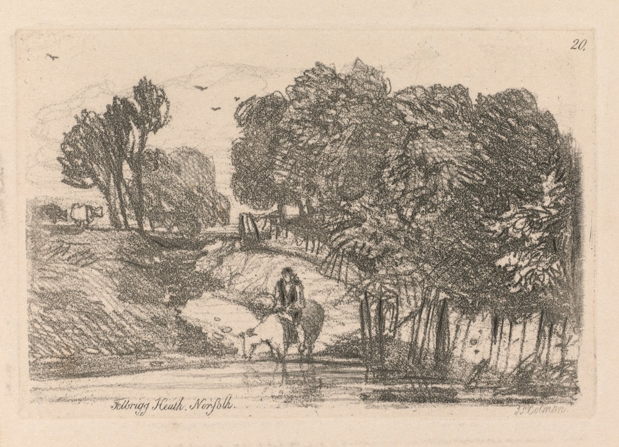 Liber Studiorum: Plate 20, Felbrigg Heath, Norfolk tekijältä John Sell Cotman