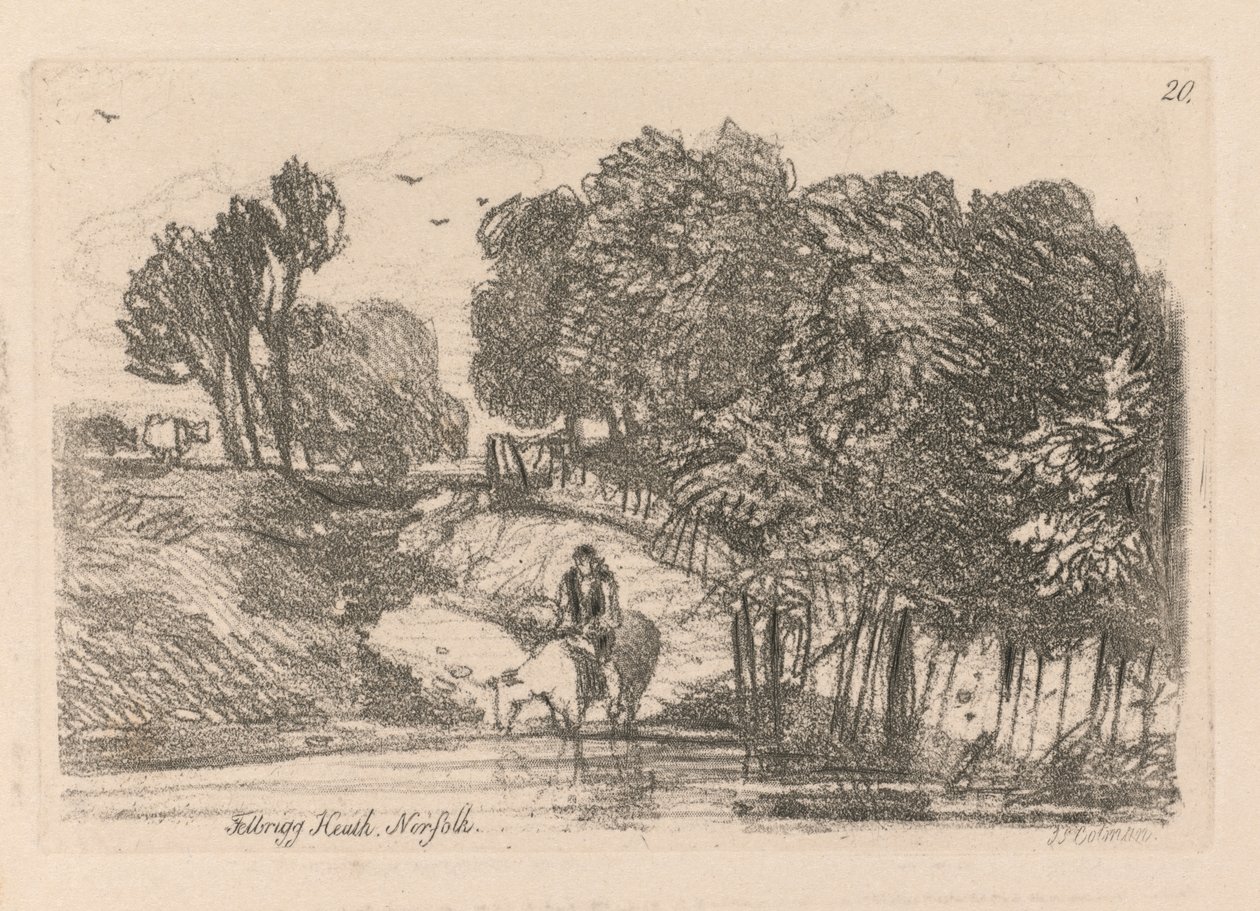 Liber Studiorum: Plate 20, Felbrigg Heath, Norfolk, 1838 tekijältä John Sell Cotman