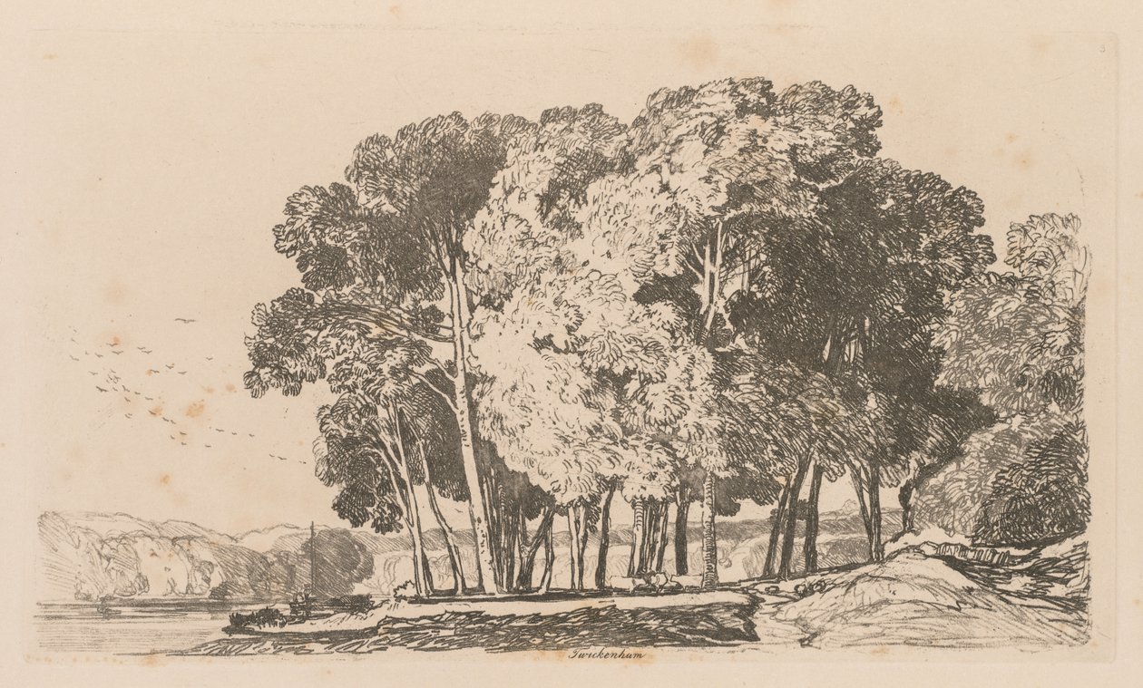 Liber Studiorum: Levy 3, Puut lähellä Twickenhamia tekijältä John Sell Cotman