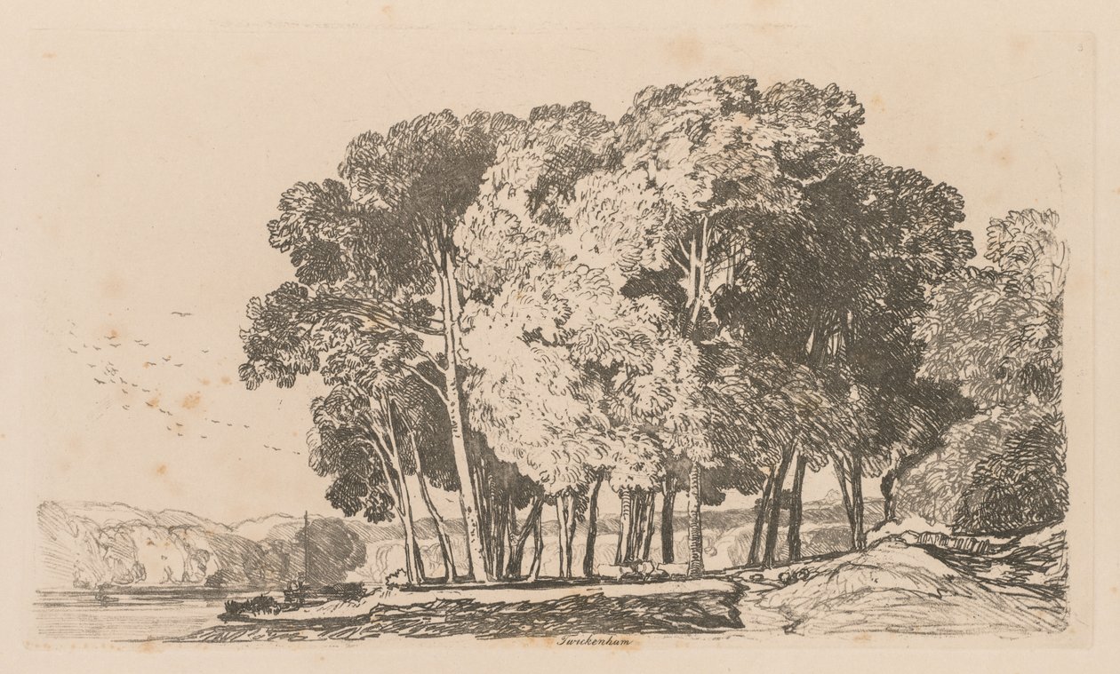 Liber Studiorum: Levy 3, Trees near Twickenham, 1838. tekijältä John Sell Cotman