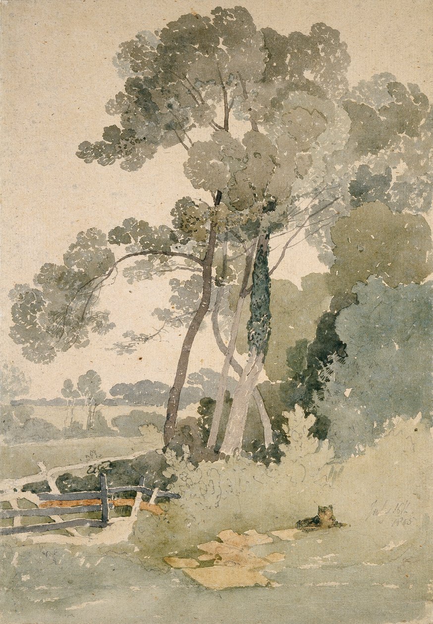 Brandsbyn lähellä Yorkshiressa, 1865 tekijältä John Sell Cotman