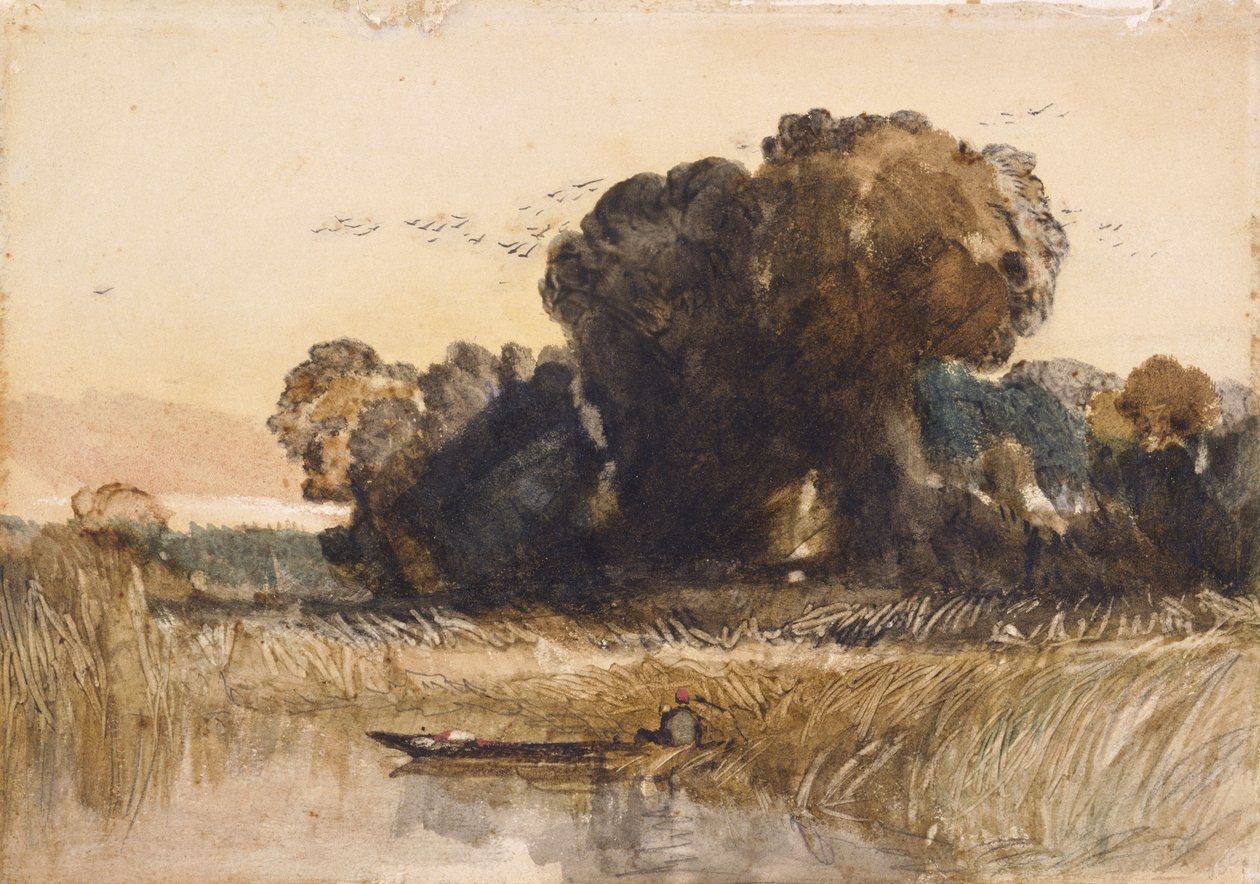 Puntti kaislikon keskellä (akvarelli  grafiitti paperille) tekijältä John Sell Cotman