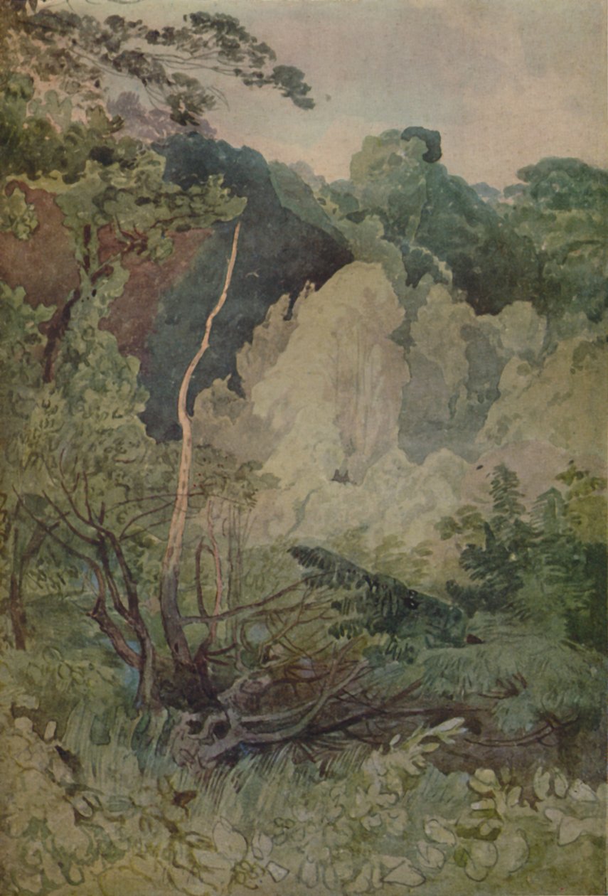 Puut Greta-joen lähellä, 1923 tekijältä John Sell Cotman