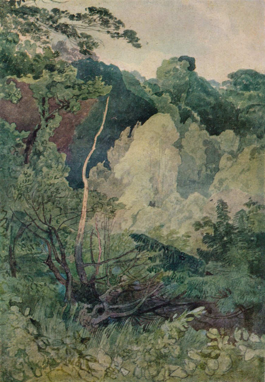Puut lähellä Greta-jokea, 1800-luku tekijältä John Sell Cotman