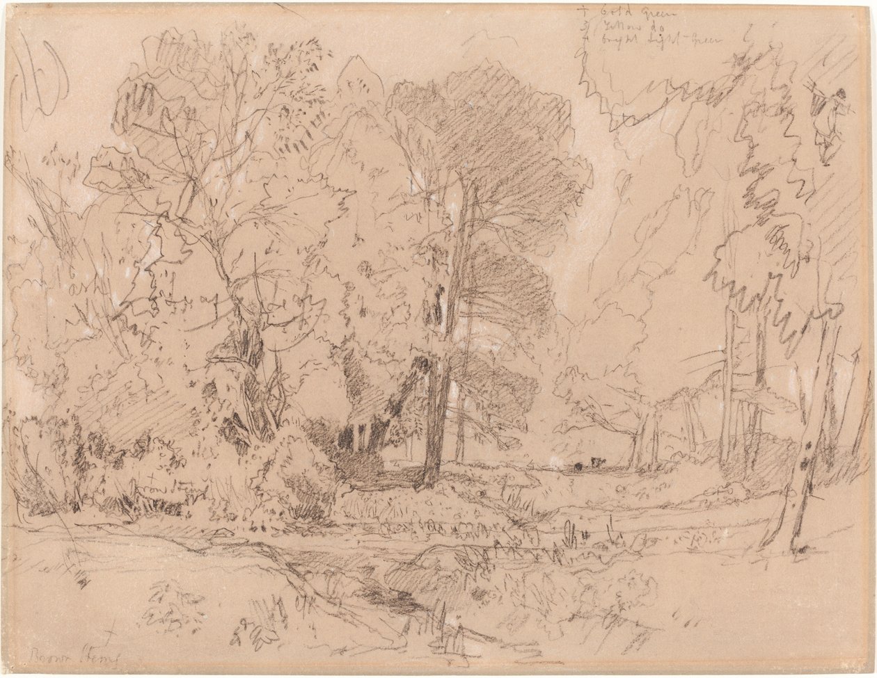 Metsäinen maisema tekijältä John Sell Cotman