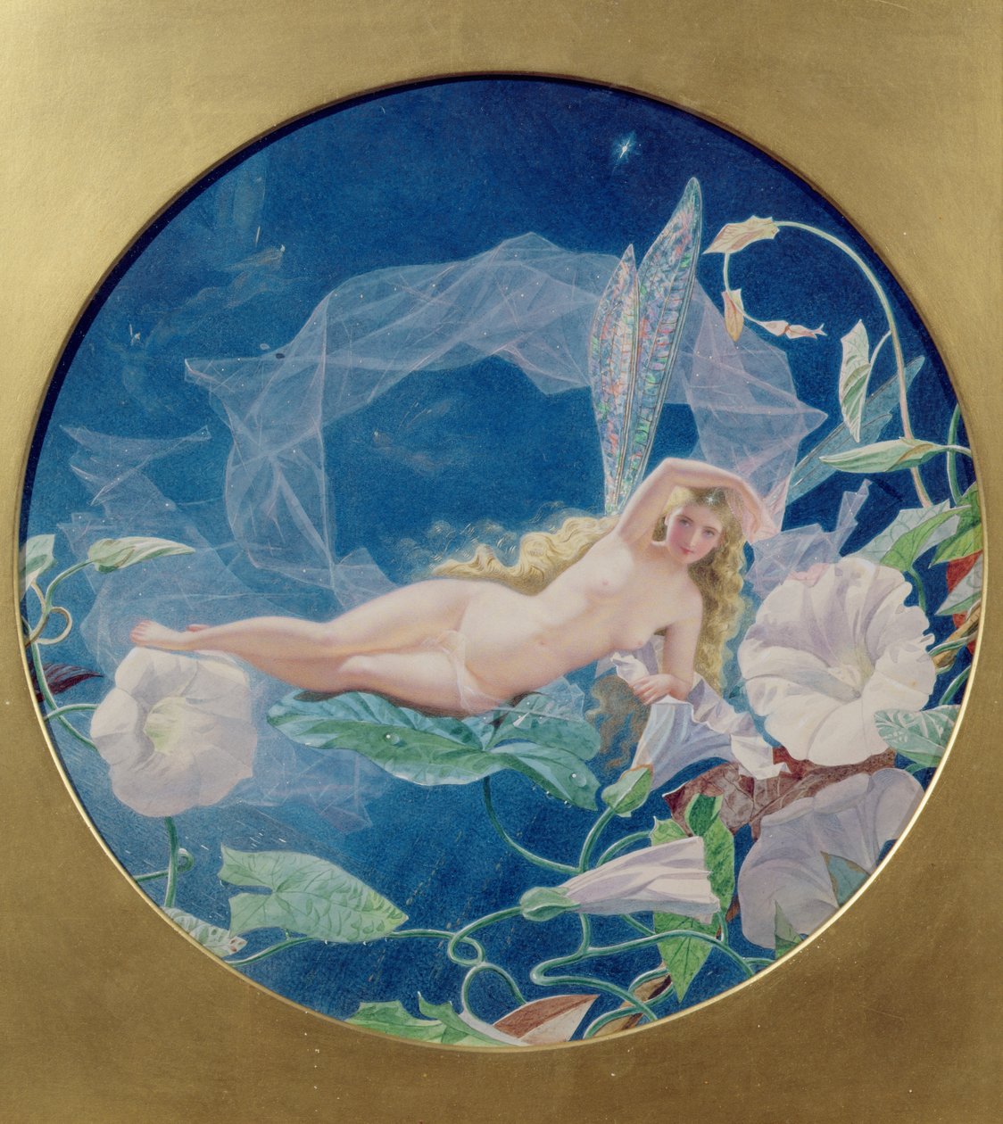The Morning Glory Fairy (wc ja vartaloväri paperilla) tekijältä John Simmons