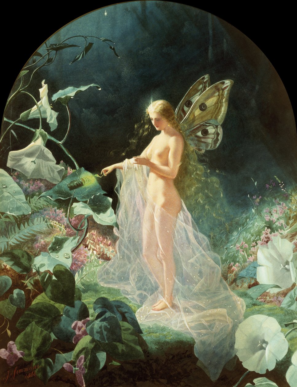 Titania tekijältä John Simmons