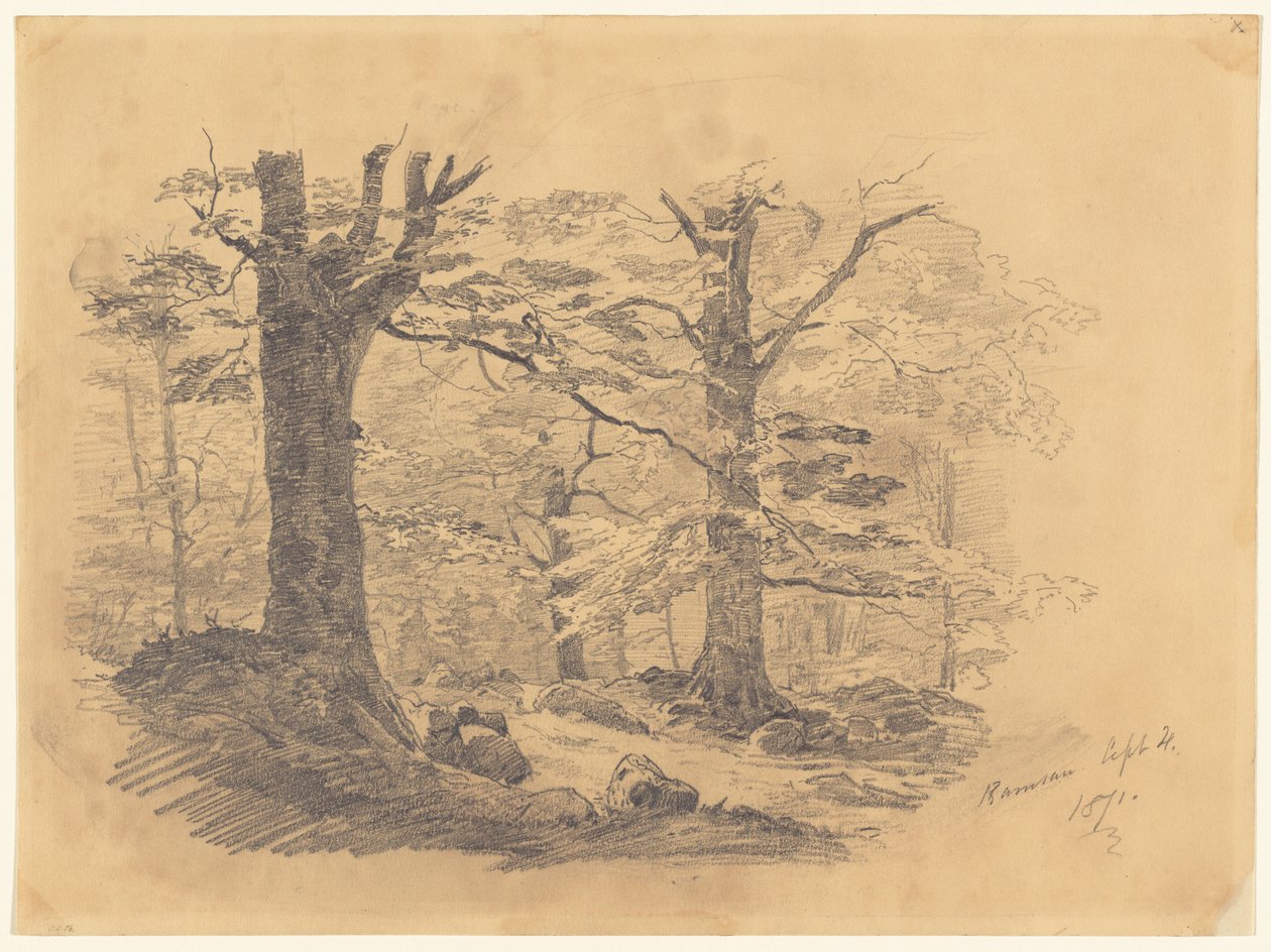 Forest, Ramsau, Alemanya, 1871. finlandès tekijältä John Singer Sargent