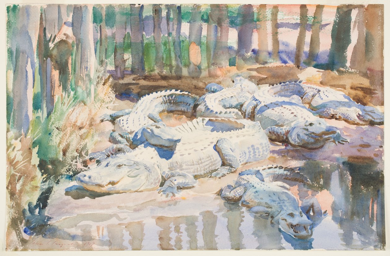 Muddy Alligators, 1917 (wc grafiitin päällä paperilla) tekijältä John Singer Sargent