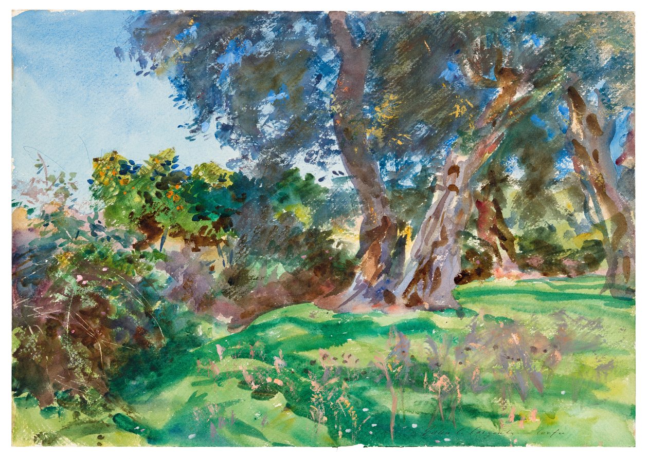 Oliivipuut, Korfu tekijältä John Singer Sargent