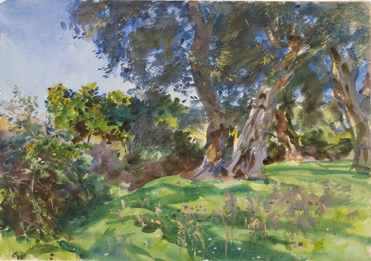 Oliivipuut, Korfu tekijältä John Singer Sargent