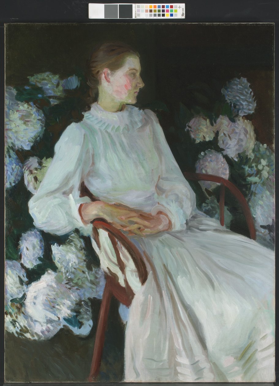 Katharine Chase Shapleighin (1875-1942) muotokuva tekijältä John Singer Sargent