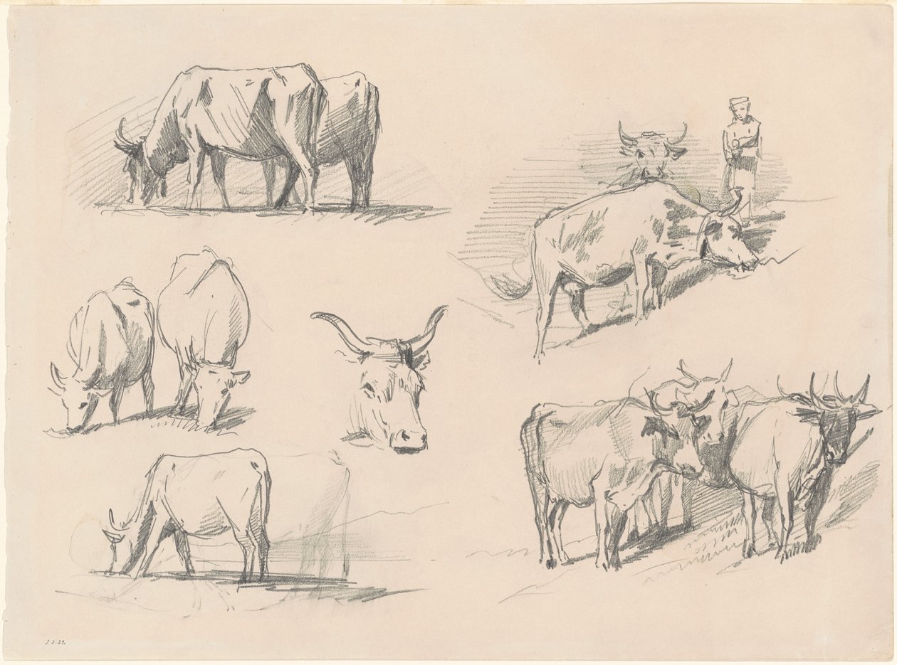 Studies of Nauta, n. 1872. tekijältä John Singer Sargent