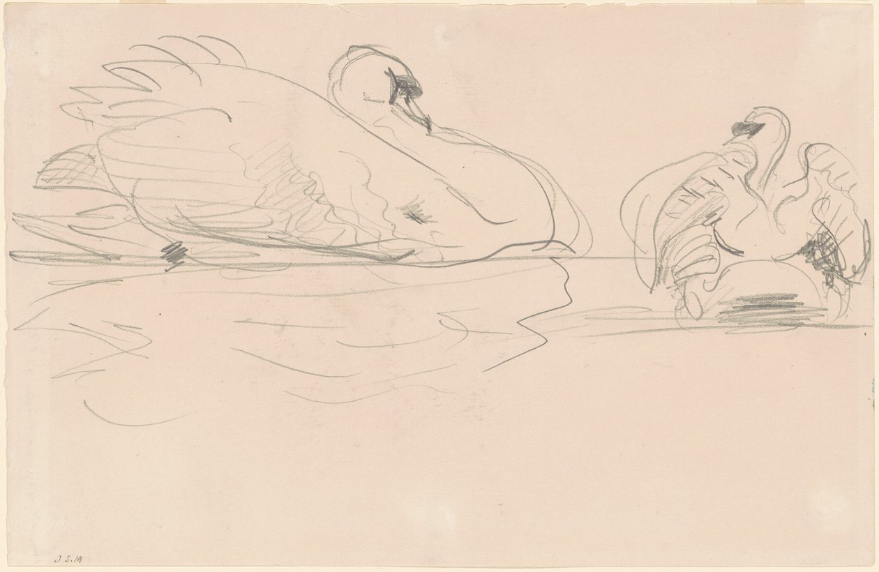 Joutsenet vedessä tekijältä John Singer Sargent