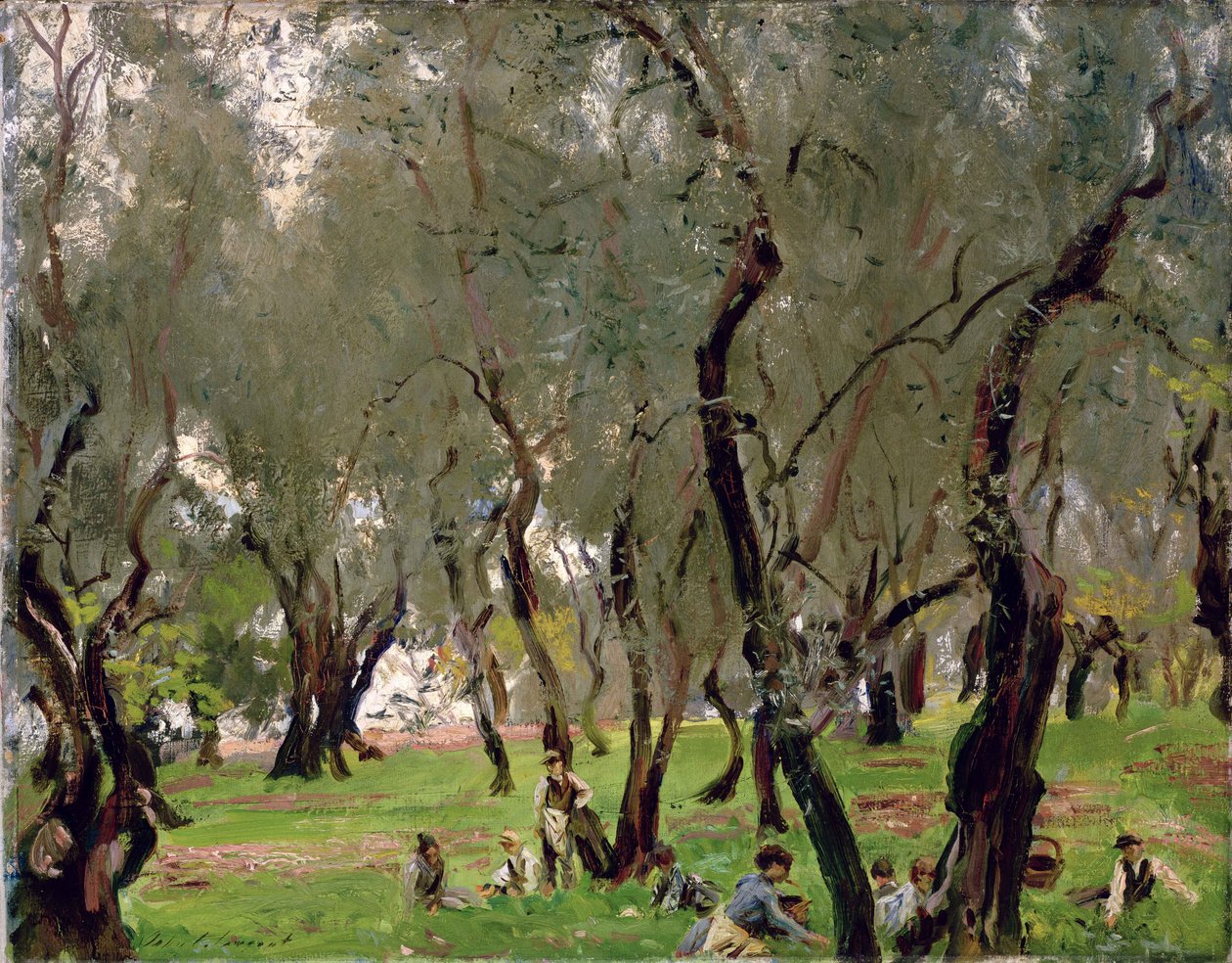 The Olive Grove, n. 1910 (öljy kankaalle) tekijältä John Singer Sargent