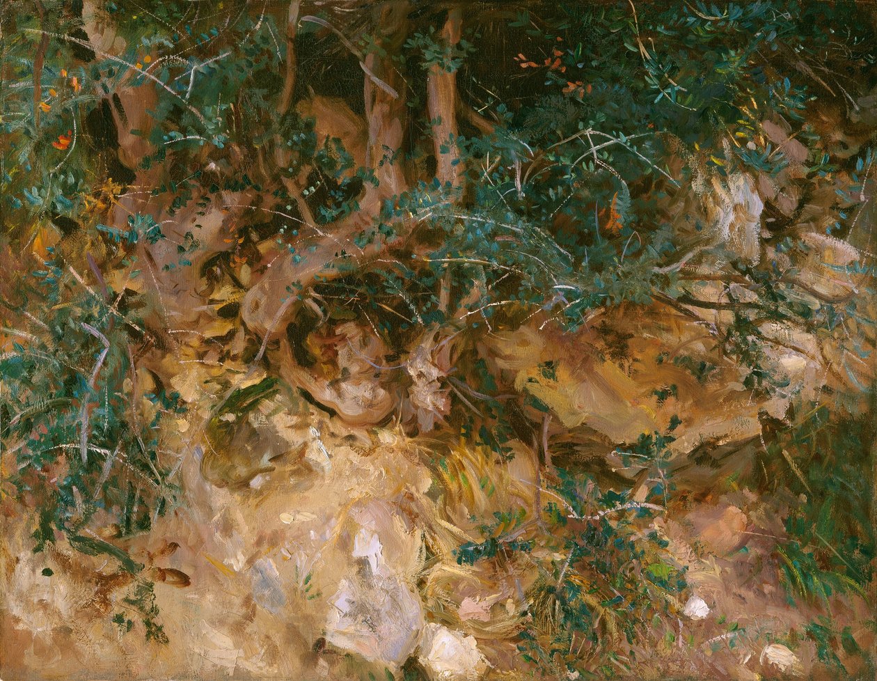 Valdemosa, Mallorca: ohdakkeita ja ruohoja kukkulan rinteellä, 1908. tekijältä John Singer Sargent