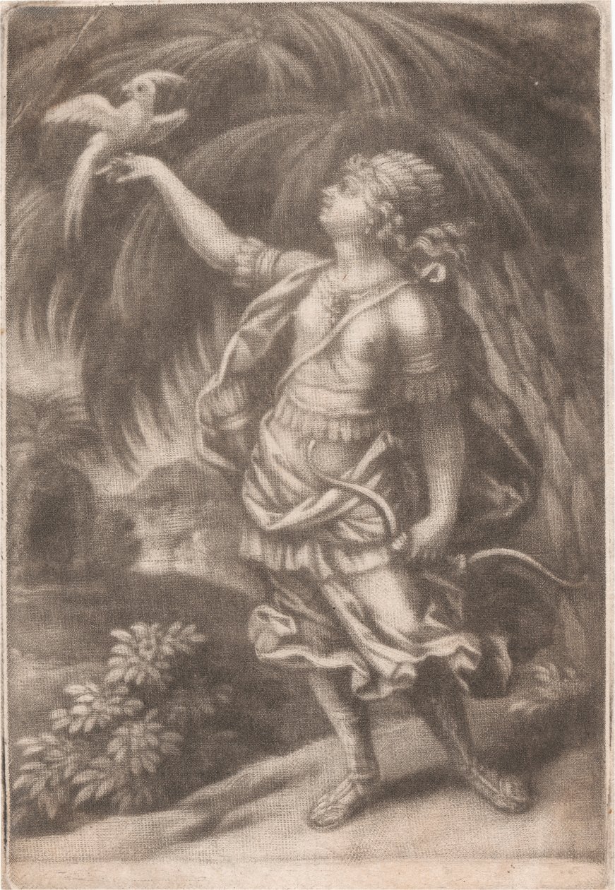 Falconer tekijältä John Smith