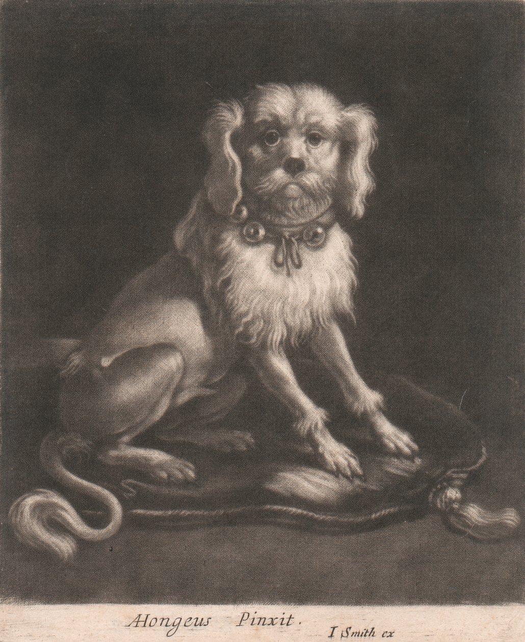Um Cachorro Pequeno, Usando uma Coleira com Sinos.finlandês tekijältä John Smith