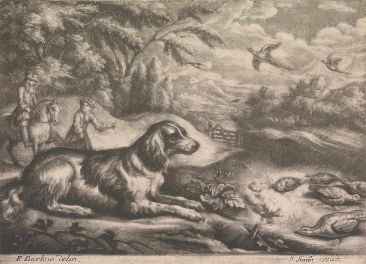 Cão de caça e faisão finlandês tekijältä John Smith