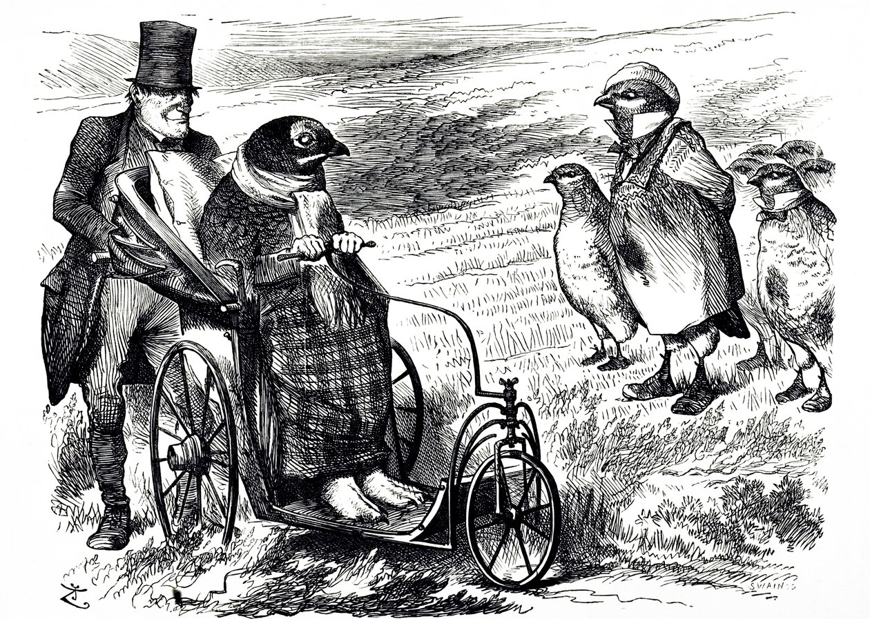 Sarjakuva, joka kommentoi Grouse Shootingin keskeyttämistä, jotta osakekanta voidaan rakentaa uudelleen. Kuvittanut John Tenniel (1820-1914), englantilainen kuvittaja, graafinen humoristi ja poliittinen sarjakuvapiirtäjä tekijältä John Tenniel