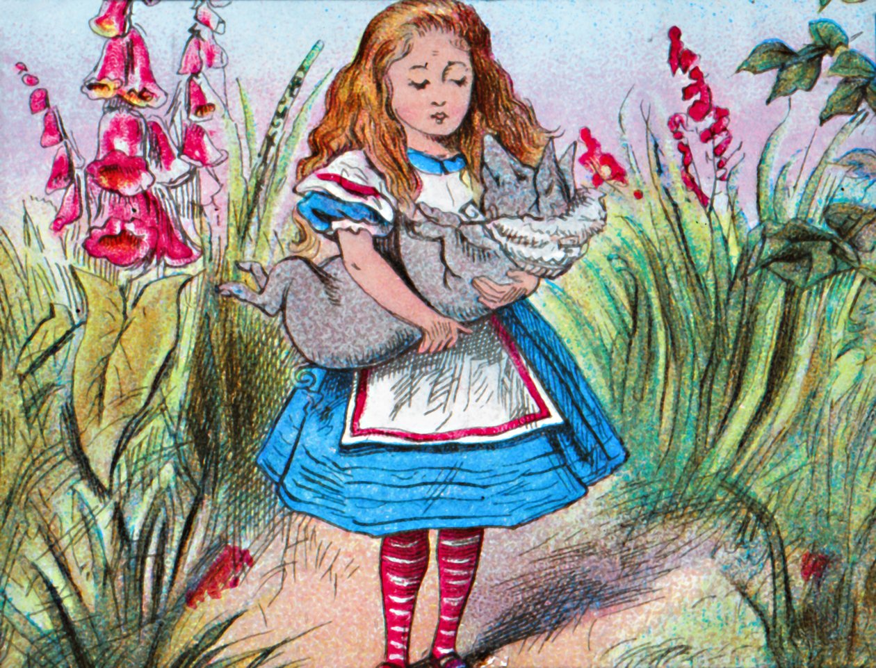 Alice pitelee sikaa sylissään., c1910. tekijältä John Tenniel